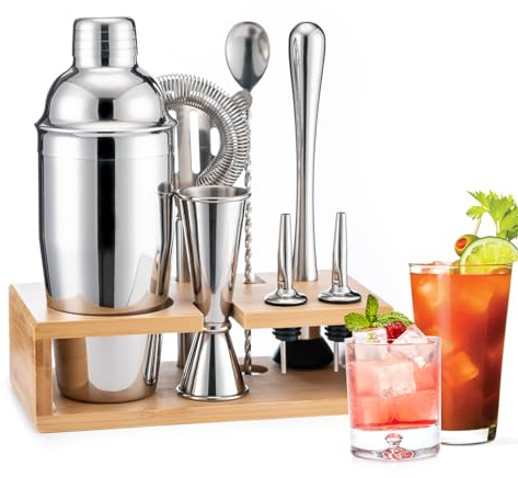 BRIOUT Cocktail Shaker Set Bartender Kit with Stand, Bar Set Drink Mixer Set with All Essential Accessory Tools: Martini Shaker, Jigger, Strainer, Mixer Spoon, Muddler, Liquor Pourers | Silver