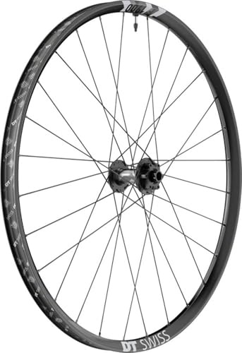 DT Swiss VR F 1900 Classic 29/30mm Alu, sw, is 6-Bolt, 110/15 TA Boost, W0F1900BFIXSA21557