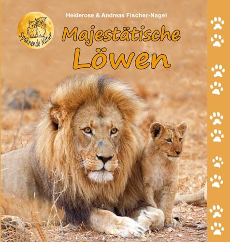 Majestätische Löwen