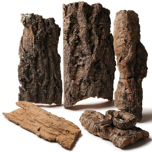 Homoyoyo Corteccia di sughero per rettili – 4 pezzi corteccia d'albero per terrari – ideale come possibilità di arrampicata e nascondiglio per lucertole tartarughe e altri rettili decorazione naturale