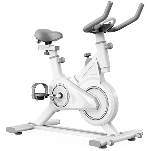 ＴＩＺＹＦＦ Exercise Bike, Magnetic Indoor Cycling Bike, 264lbs Weight Capacity Stationary Bike, with Silent Flywheel, LCD Display, Bottle/Tablet Holder, Comfortable Seat, for Home Cardio Workout