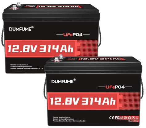 2X Dumfume 12V 300Ah LiFePO4 Lithium Batterie mit 200A BMS