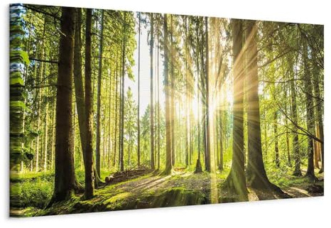 B&D XXL - Akustikbild Waldlandschaft Natur, 120x40 cm, 1-teilig, Wohnzimmer
