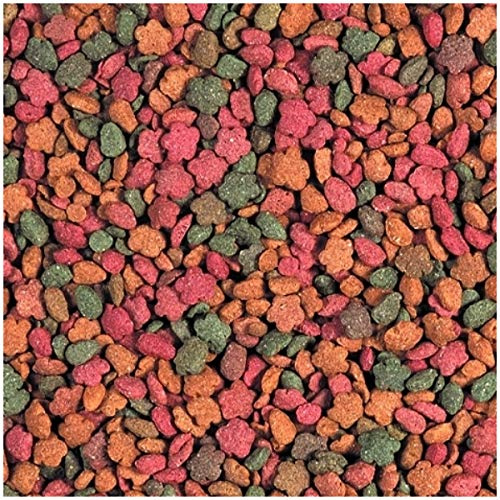 TARTA TUTTA FRUTTA Alimento Vegetale per Tartarughe Terrestri, 1,5 kg | Alla frutta, Senza proteine animali, Speciale per tartarughe Terrestriin crescita