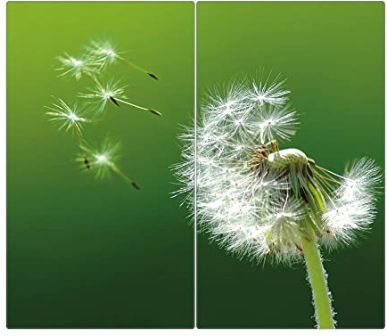 banjado Schneidebrett Glas mit Motiv Pusteblume - großes zweiteiliges Glasschneidebrett rechteckig 2 x 30 cm x 52 cm - auch verwendbar als Schneidebrett Herdabdeckung