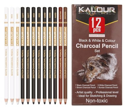 VINSPIRE Lot de 12 crayons à charbon de bois mélangés – Crayons de fusain noirs, blancs et de couleur pour croquis, ombrage et dessin de portrait, fournitures artistiques pour débutants et