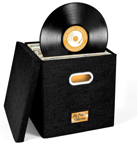 Caisse de rangement pour disques vinyles LP, boîte de rangement C'D, boîte de rangement pour albums avec couvercles et poignées, étui de rangement ignifuge et étanche pour disques de 30,5 cm, peut