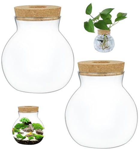 KYEQATY Tarro de terrario, 2 unidades, transparente, redondo, de cristal, calibre, paisaje, con tapas de corcho, terrario para plantas de helecho, musgo, suculentas, suministros para el hogar