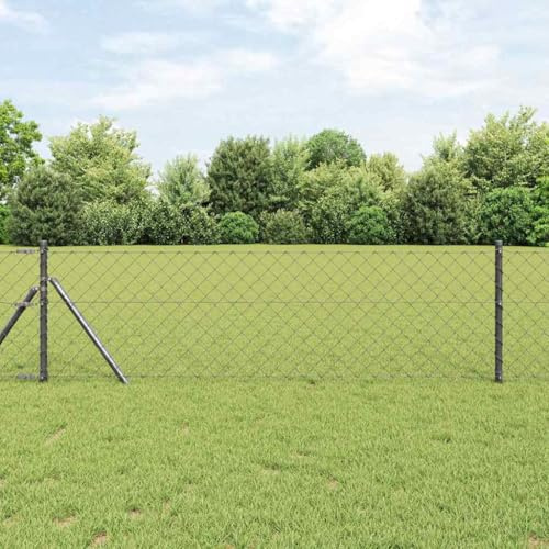 Valla de doble varilla con postes gris, 0,6 x 10 m, acero