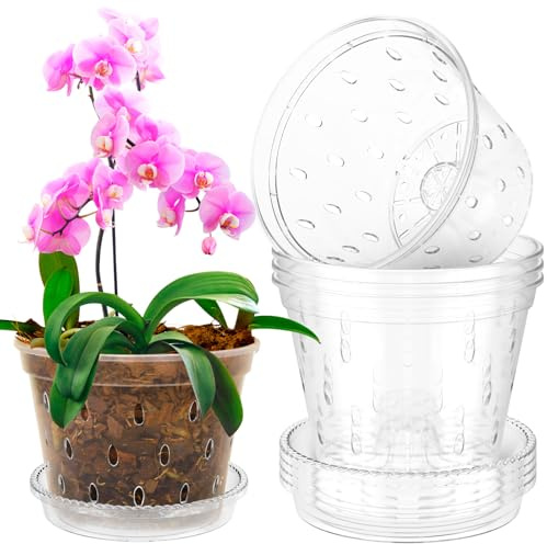 KEGAJEGA Set di 5 vasi per orchidee, 15 cm, con sottovaso, trasparente, con foro di drenaggio, per dendrobium, orchidea, phalaenopsis, lilium, pékinensis, gardenia, serpente - (L)