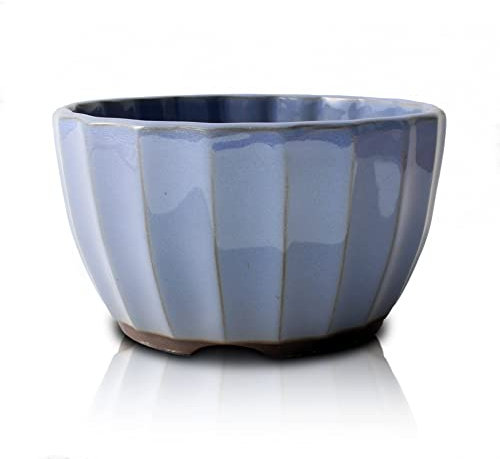 Bonsai crisantemo vaso in ceramica a forma di fiore smaltato, Kinyo-Yu, 5