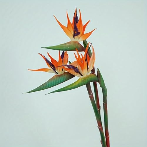 HAOSHICS 3 Stück künstliche Paradiesvogel-Blumen, Gummi-Strelitzie, 61,4 cm langer Stiel, Blume, geeignet für Heimwerker, Heimdekoration, Party, Thema, Herbstdekoration (3 Stück, orange)