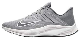 Nike Quest 3, Men's Running Running Shoe, Light Smoke Grey/Smoke Grey-White, 7.5 UK (42 EU)