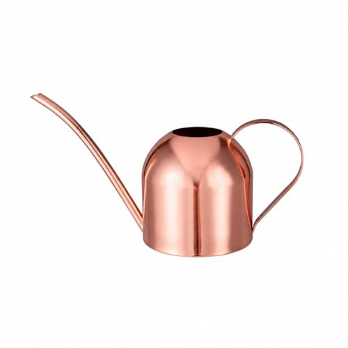 IMEEA 900 ml Gießkanne für ZimmerpflanzenEdelstahl Gießkanne mit langem Ausguss Indoor Blumengießkanne für Bonsai Sukkulenten(Rosa)