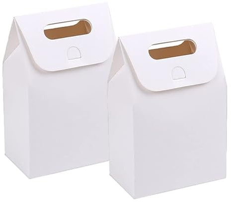 Papiertüten, 20 Stück Vintage Natürliche Kraftpapiertüte, Mini Geschenktüten, Vintage Kraft Papiertüte, Natürliche Kraftpapier Tüte, für Hochzeitsfest Geschenkverpackung Geschenk Süßigkeit (Weiß)