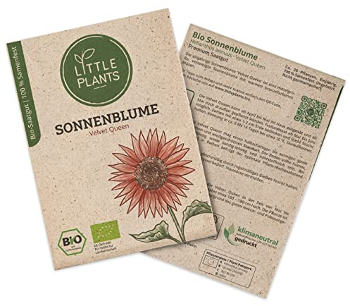 BIO Sonnenblumen Samen Velvet Queen, 20 Sonnenblumensamen, hohe Keimrate von Little Plants, Wunderschöne Blume für deinen Balkon und Garten, BIO Blumensamen Nachhaltig Verpackt