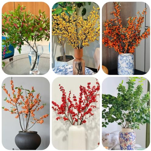 semi di agrifoglio di giardino resistente siepi arbusti, balcone, appartamento veri, 25pcs