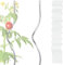 KARAT Tomatenspiralstäbe - 110 cm Länge - 10 Stück - Tomatenstab - Spiralstab - Rankstab - Tomaten Rankhilfe - Pflanzstab aus verzinktem Stahl