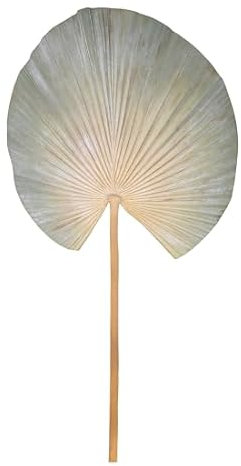 Chic Antique Décoration murale en forme de feuille de palmier - Hauteur : 74,5 cm