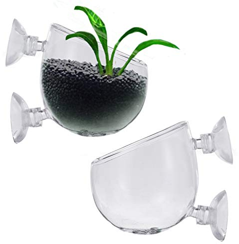 Oneroomone 2 Stück Aquarium Pflanzenhalter, Aquarium Pflanzenhalter mit Saugnapf, Aquarium Pflanzen Live Crystal Glass Cup, für Aquarium Aquarium Aquarium