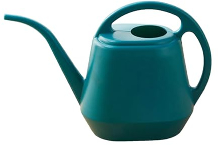 Arrosoir de 4 l avec Long Bec verseur, arrosoir Transparent en Plastique Transparent, Trous d'eau Fins Amovibles, arrosoir pour Plantes pour l'intérieur et l'extérieur