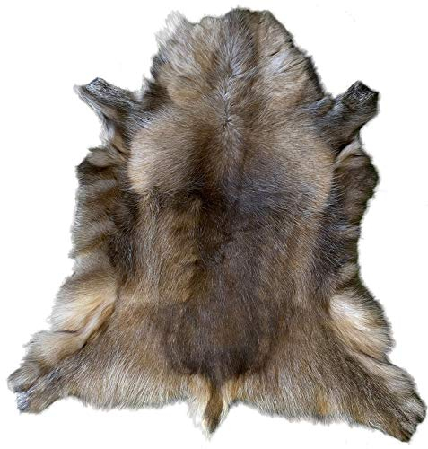 Alpenfell Rentierfell *Winterqualität* 120-130 x 80 cm Echtfell - ökologische Gerbung - Rentier