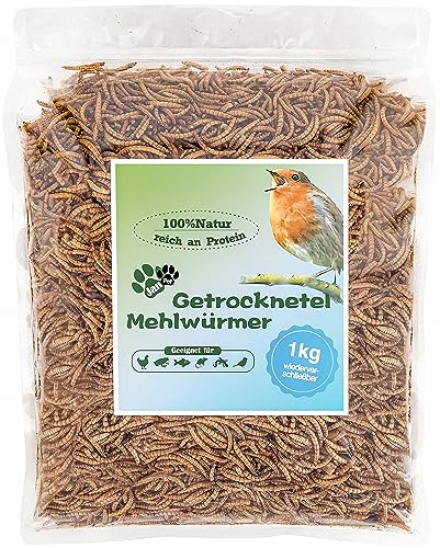 Mehlwürmer getrocknet – 1 kg getrocknete Mehlwürmer – Vogelfutter für Wildvögel ganzjährig, Igelfutter, Eichhörnchenfutter, Fischfutter, Wachtelfutter – Blumixx Jan-Pet Premium