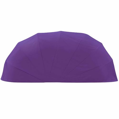 CASEGO Abri de Voiture entièrement Automatique, Pliable et rétractable, Tissu Oxford Hydrofuge, adapté à Plusieurs scènes extérieures (5.9 * 2.5m)