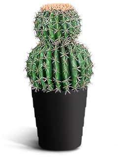 IvoQ Art Cactus 50 cm – Planta falsa realista en maceta – Hecho a mano, sostenible y sin mantenimiento. Planta artificial para sala de estar, oficina o balcón – Resistente a los rayos UV y para niños
