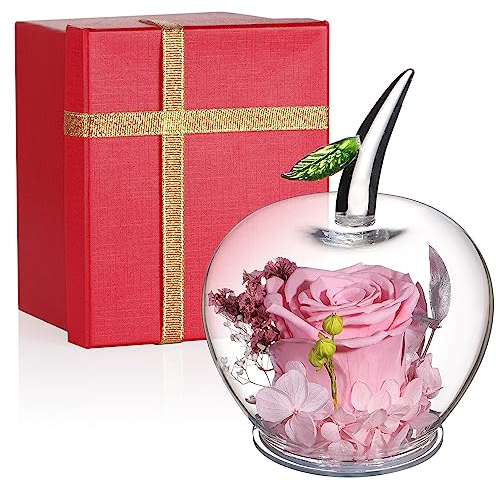 Handgemachte konservierte Blumen Rose Dekor mit Apfelförmigem Glas Verliebte, Heiligabend, Valentinstag, Muttertag, Geburtstag, Hochzeitstag, Rosa