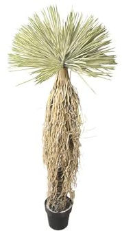 POENIA ARTE FLORAL - Pianta artificiale Beaked YUCCA 150cm - Rif 630928 - Decorazione realistica