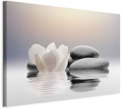 B&D XXL - Leinwandbild Weiße Lilie 60x40, 60x40 cm, 1-teilig, Schlafzimmer | Hochwertige Leinwand, sofort aufhängbar, ideal fürs Wohn- oder Schlafzimmer, wasserfest und lichtecht, langlebig, stilvoll
