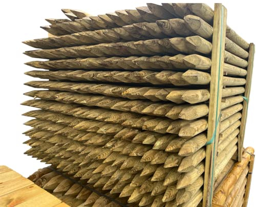 BaustoffhandelShop KDI Zaunpfähle Zaunpfosten Vierkantpfosten Kantholz Holzpfosten Palisade Pfosten in verschiedenen Dimensionen und Längen (PFAHL KDI/GESPITZT), 60 x 500mm