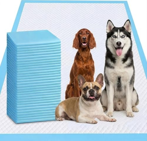 Lot de 40 tapis hygiéniques pour chiots XXXXL - 78,7 x 119,4 cm - Extra large - Anti-fuites et super absorbants - Tapis d'apprentissage de la propreté pour chats et lapins - 78,7 x 119,4 cm