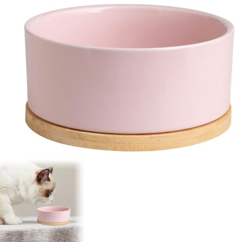 Ciotola riscaldata per cani e gatti da 350 ml, ciotola per acqua riscaldata per cani e gatti, ciotole termiche invernali per animali domestici forniscono acqua potabile per cane, gatto, coniglio