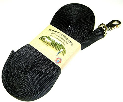 Hamilton 1 Dicke Nylon-Leine für Pferde mit Verschluss, 8 m mit 60-cm-Kette