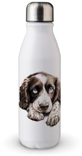 MAXIKIWI - Single Wall Water Drinking Bottle with Screw Cap, Non Insulated Lightweight Aluminium, BPA Free, Leak-Proof - English Springer Spaniel - 500ml