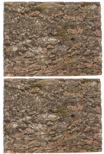 UPKOCH 2pièces Écorce de Liège pour Terrarium Lézards Décoration Fond Liège Naturel Morceaux Écorce pour Reptiles Panneau Aquarium pour Lézards Tapis Escalade pour Reptiles