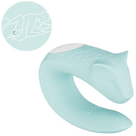 EIS Classic 2 Paar-Vibrator Gepard | Sex-Spielzeug mit 10 Vibrations-Modi | Wasserdicht (IPX7) | USB wiederaufladbar | Erotisches Toy für Paare