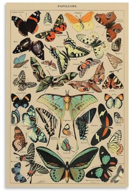 Motten- und Schmetterlings-Poster, Cottagecore Ästhetische Raumdekoration, Vintage-Naturmalerei, Monarch-Schmetterlinge, Adolphe Millot Druck – Papillionen, Kunstposter, Leinwand, Gemälde, Dekor,