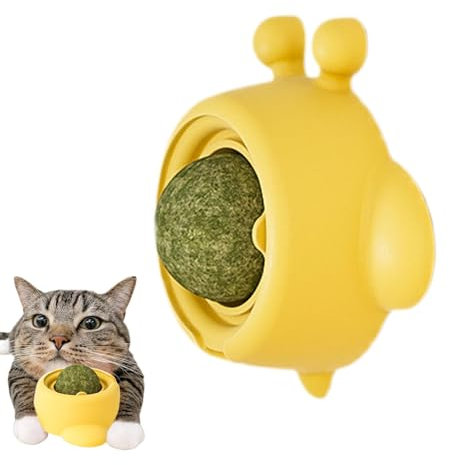 Catnip -Kugeln - Safe gesunde Kätzchenkauen und Zähneputzspielzeuge | Catnip -Bälle Spielzeug für Katzen lecken | Interaktive Katzenpatzier -Spielzeug | Leck sicheres gesunde Kätzchenkauen und Zähnepu