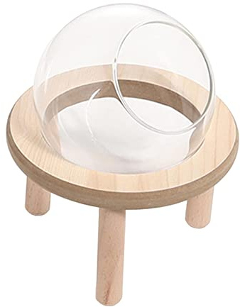 Bac à sable pour hamster - Bac à sable transparent - Pour lapins, animaux domestiques, souris - 10 cm - Beige