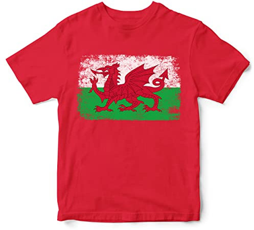 Purple Print House Wales Rugby Flag T Shirt for Kids, Cymru Boys Gifts for Rugby Fan, Welsh Unisex Childrens Tshirts, 5-6 Years, Red
