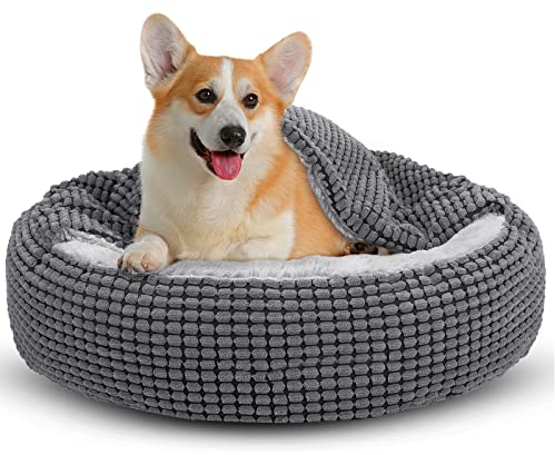 JOEJOY Hundebett Mittelgroße Hunde, Katzenbett Rund mit Decke, Hundekorb Waschbar Flauschig, Hundebetten für Katzen und Kleine Mittlere Hunde, 66x66x15cm