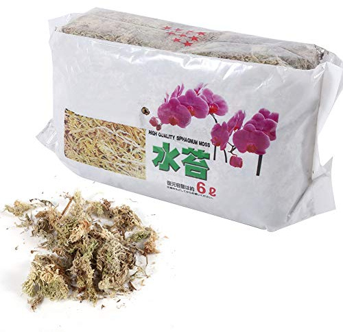 Hztyyier Dünger Moos Sphagnum Moos Phalaenopsis Sphagnum Moos Orchidee Feuchtigkeitsspendende Ernährung Organischer Dünger