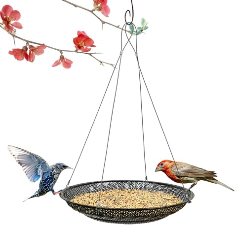 CQAIRIOU Verbesserte Vogelfutterstation zum Aufhängen, 30 cm, Edelstahl, große Plattform, Metallgitter, Samenschale für Hinterhof, Garten, Anlockung von Wildvögeln