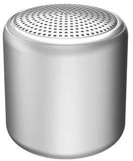 PRENDELUZ Enceinte Mini Grise Portable avec Bluetooth Son stéréo Double couplage