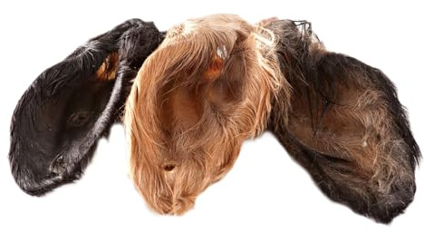 123... Hund dabei! - Kalbs-/Rinderohren mit Muschel und Fell XXL, schonend getrocknet, gut verträglich, natürliche Magen-Darm Reinigung (100)