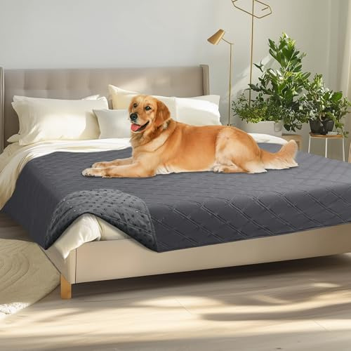 luciphia wasserdichte rutschfeste Hundedecke, Hundematte Sofa Auto waschbar | 100% wasserdicht,Anti-Rutsch-Punkte,Sofadecke schützt Sofa,Bett,Auto,Schutzdecke für Hunde,Katzen,Unterwegs,Maschinenwaschbar
