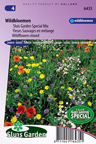 Mélange FLeurs Sauvages (annuel/vivace) - Graines De Fleurs Annuelles